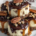 No Bake Turtle Mini Cheesecakes